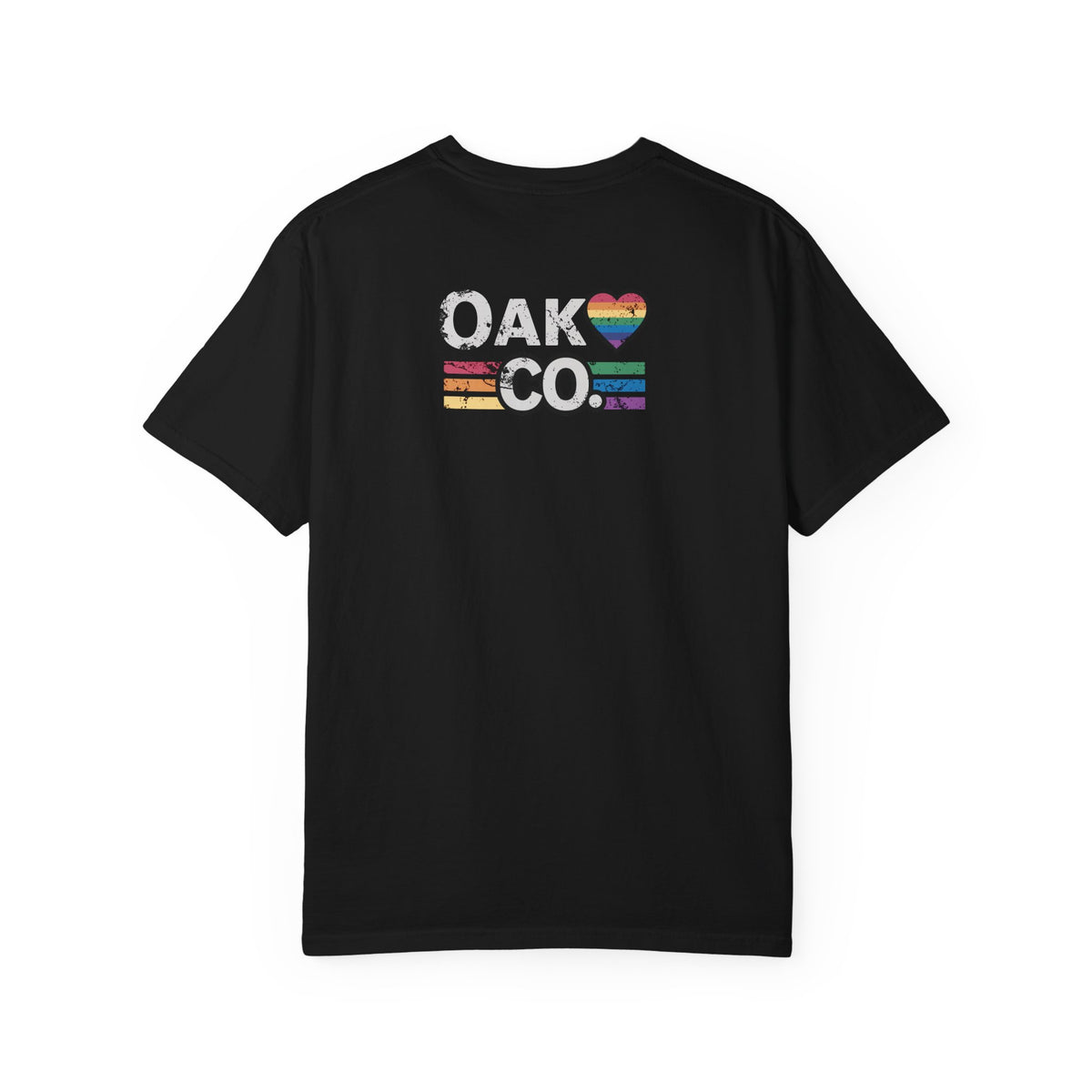 V2 | Unafraid to Exist T-Shirt | LGBTQ+ Pride 2026